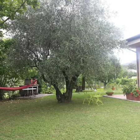 Canal Di Bocco Tra 5 Terre E Versilia *