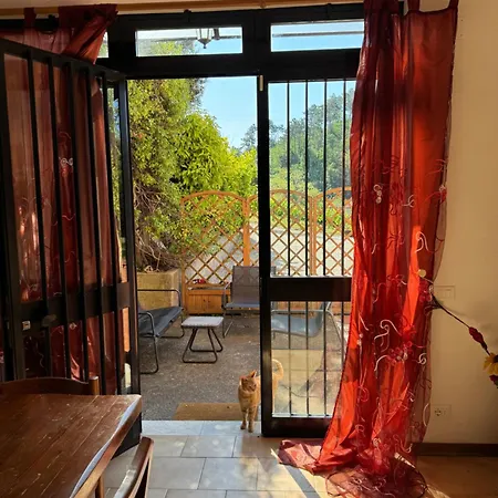 Canal Di Bocco Tra 5 Terre E Versilia *