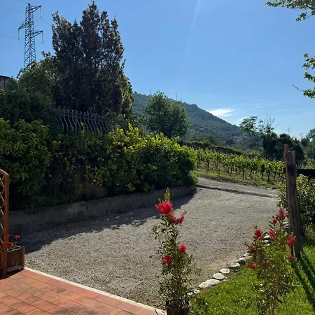 Canal Di Bocco Tra 5 Terre E Versilia *