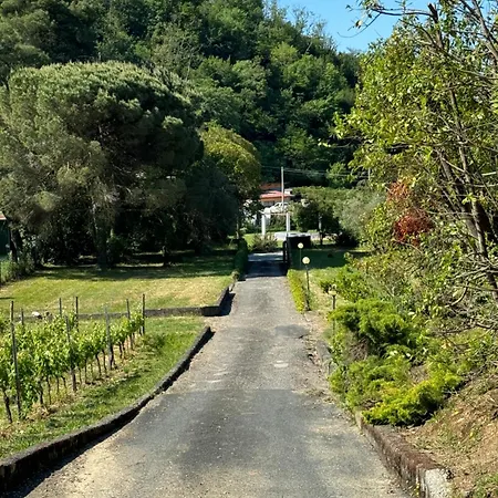 Canal Di Bocco Tra 5 Terre E Versilia *