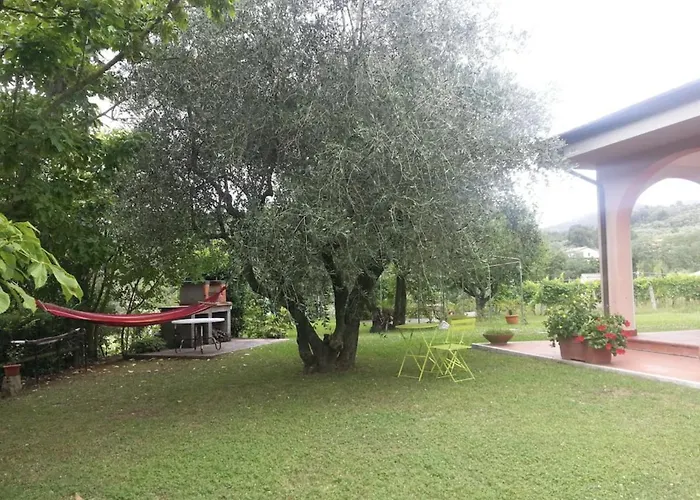 Canal Di Bocco Tra 5 Terre E Versilia *