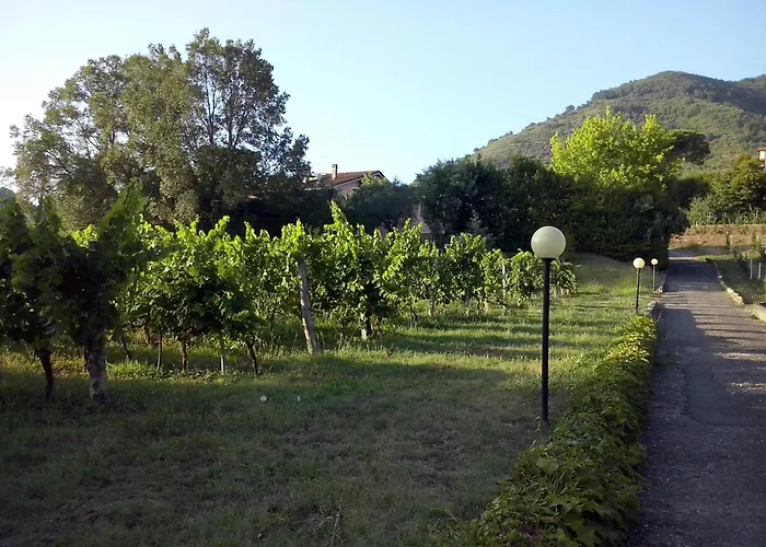 Canal Di Bocco Tra 5 Terre E Versilia *