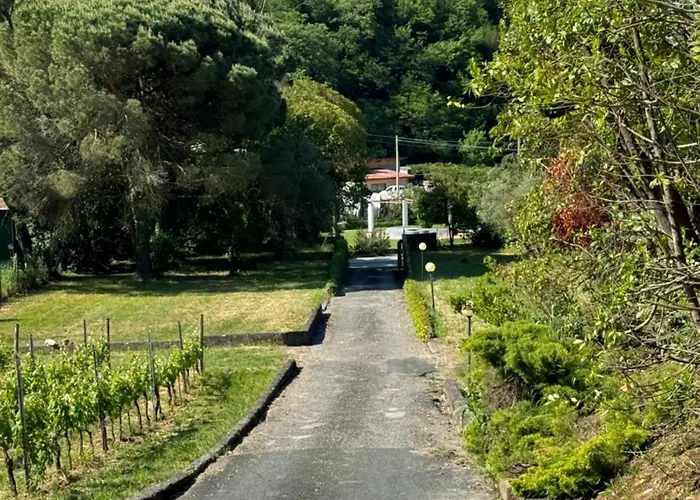 Canal Di Bocco Tra 5 Terre E Versilia *
